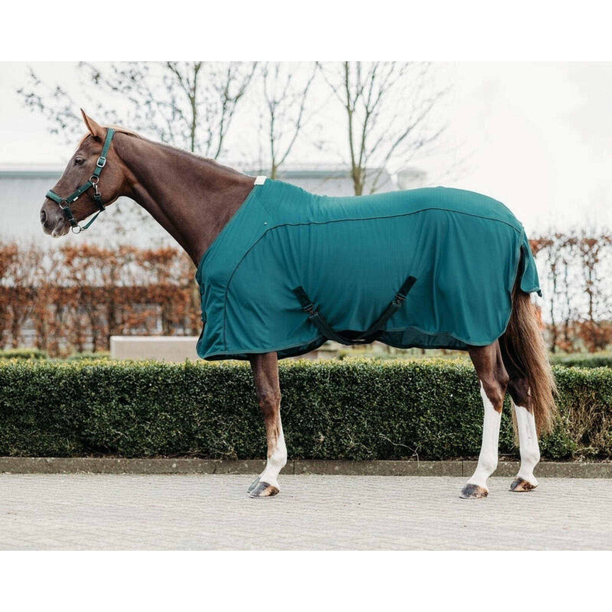 Chemise pour cheval QHP Coolmesh Astana