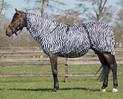 Qhp eczeemdeken zebra