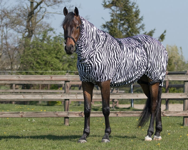 Anti-eczeemdeken voor paarden Q-essentials 2/3