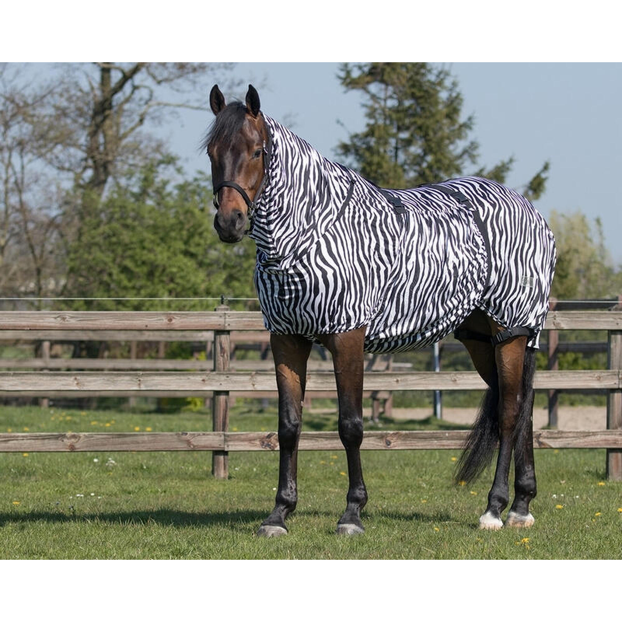 Anti-eczema blanket for horses QHP