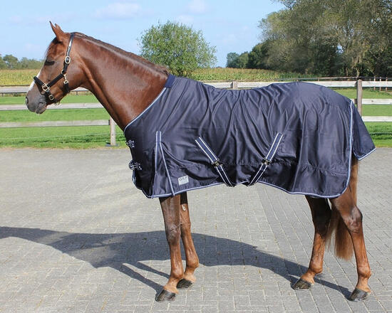 Camicia da cavallo in cotone QHP Basic