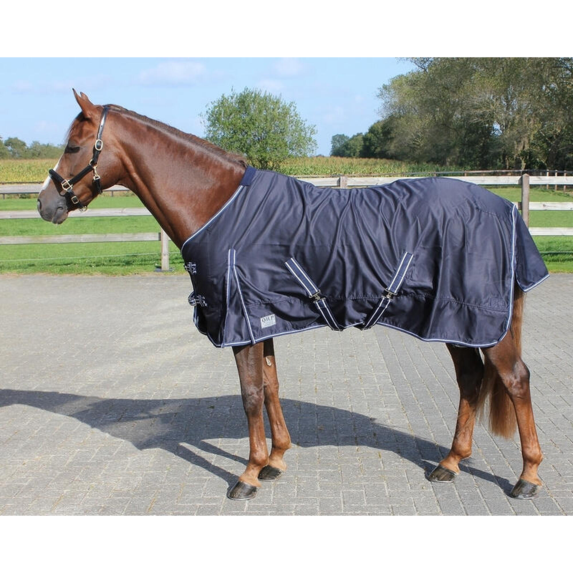 Qhp - Chemise Pour Cheval En Coton Qhp Basic - Couverture Cheval - Bleu - 175 Cm - Decathlon