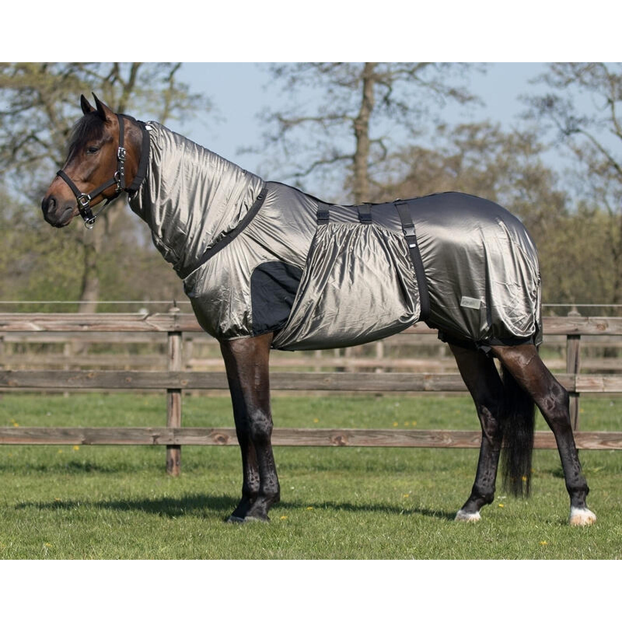 Anti-eczeemdeken voor paarden QHP Comfort