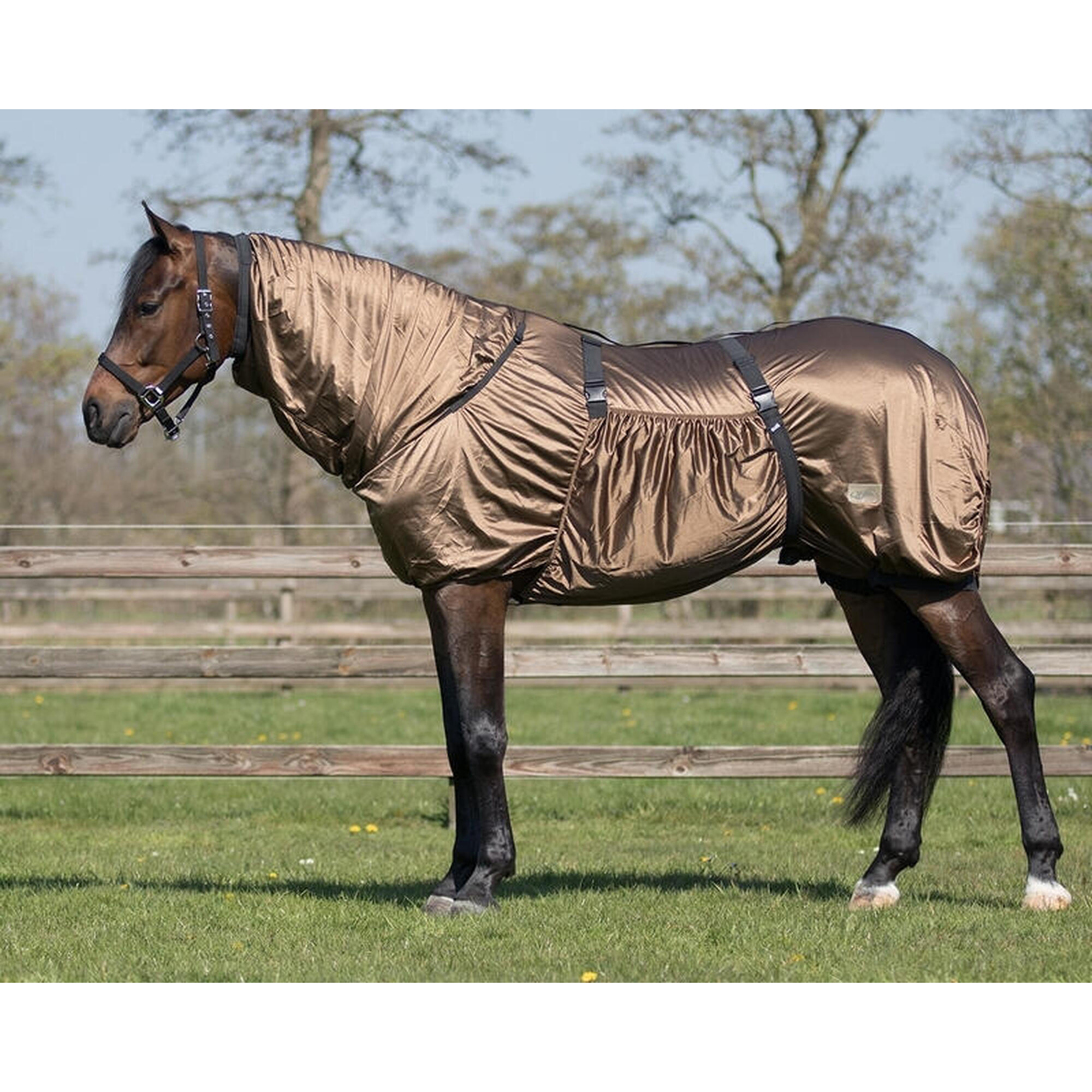 QHP Coperta anti-eczema per cavalli QHP