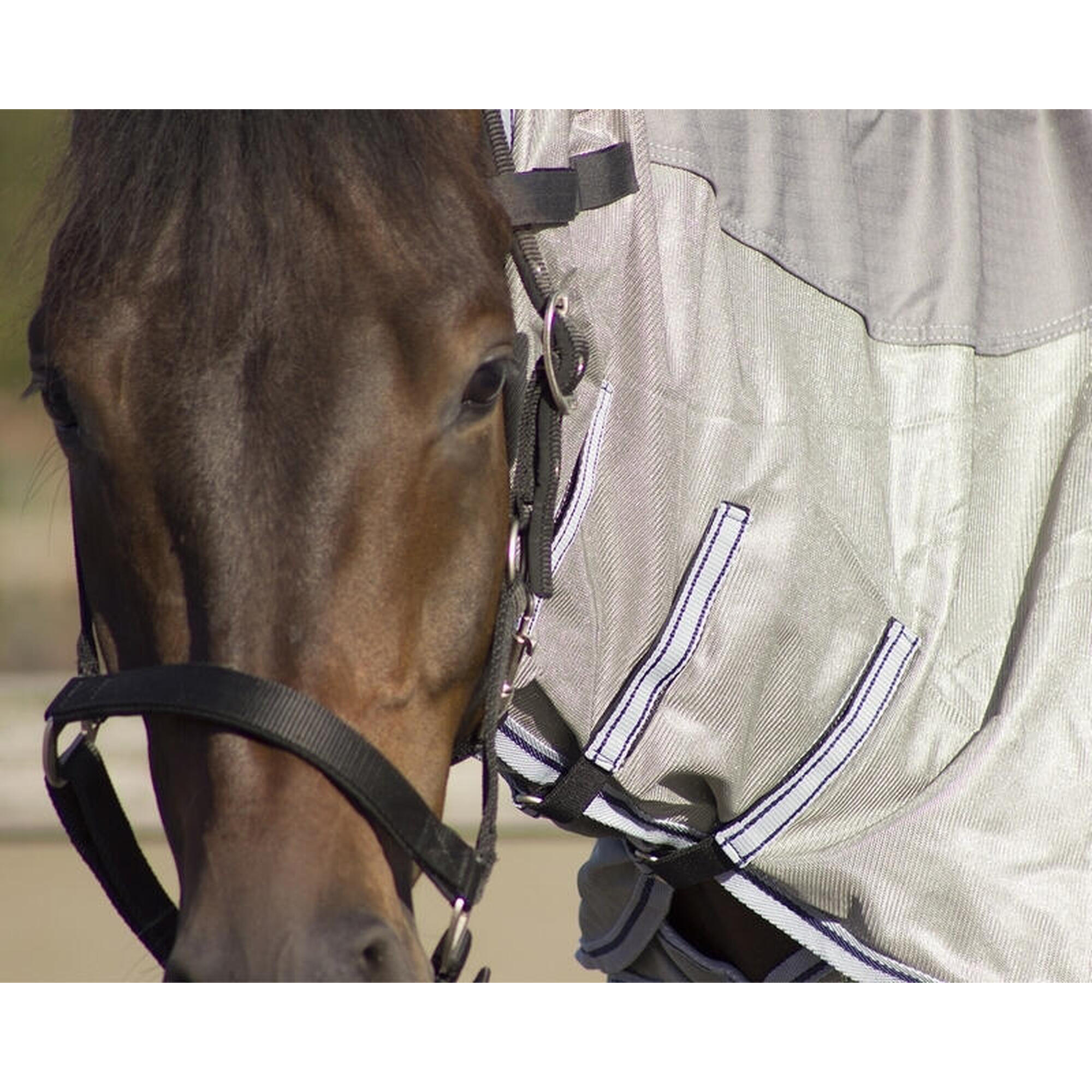 Vliegendeken voor paarden met hoge hals QHP Combo