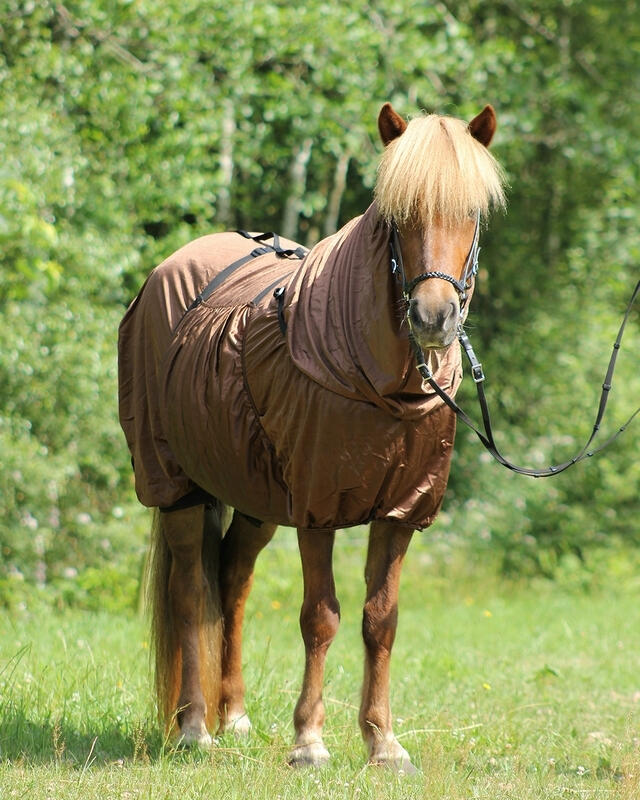 Coperta anti-eczema per cavalli QHP Icelandic 2/3