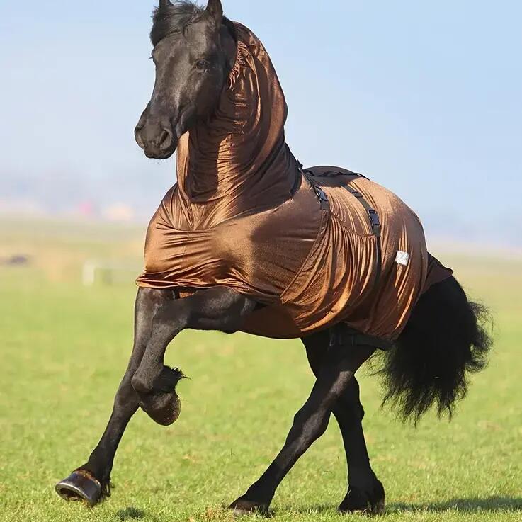 Anti-eczema blanket for large necked horses QHP