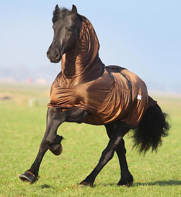 Qhp eczeemdeken fries