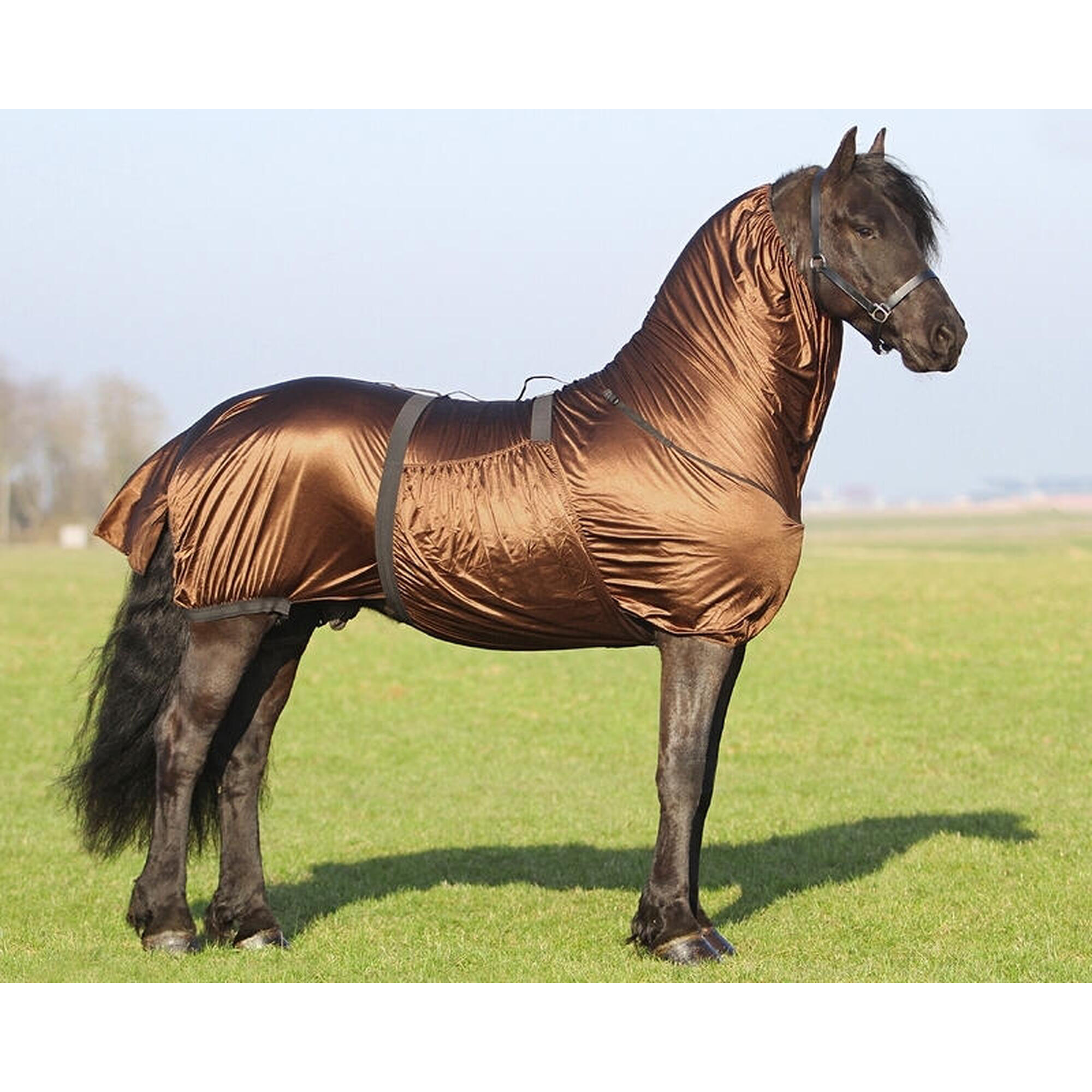 Anti-eczema blanket for large necked horses QHP 2/3