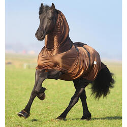 Anti-eczeemdeken voor paarden met grote hals QHP