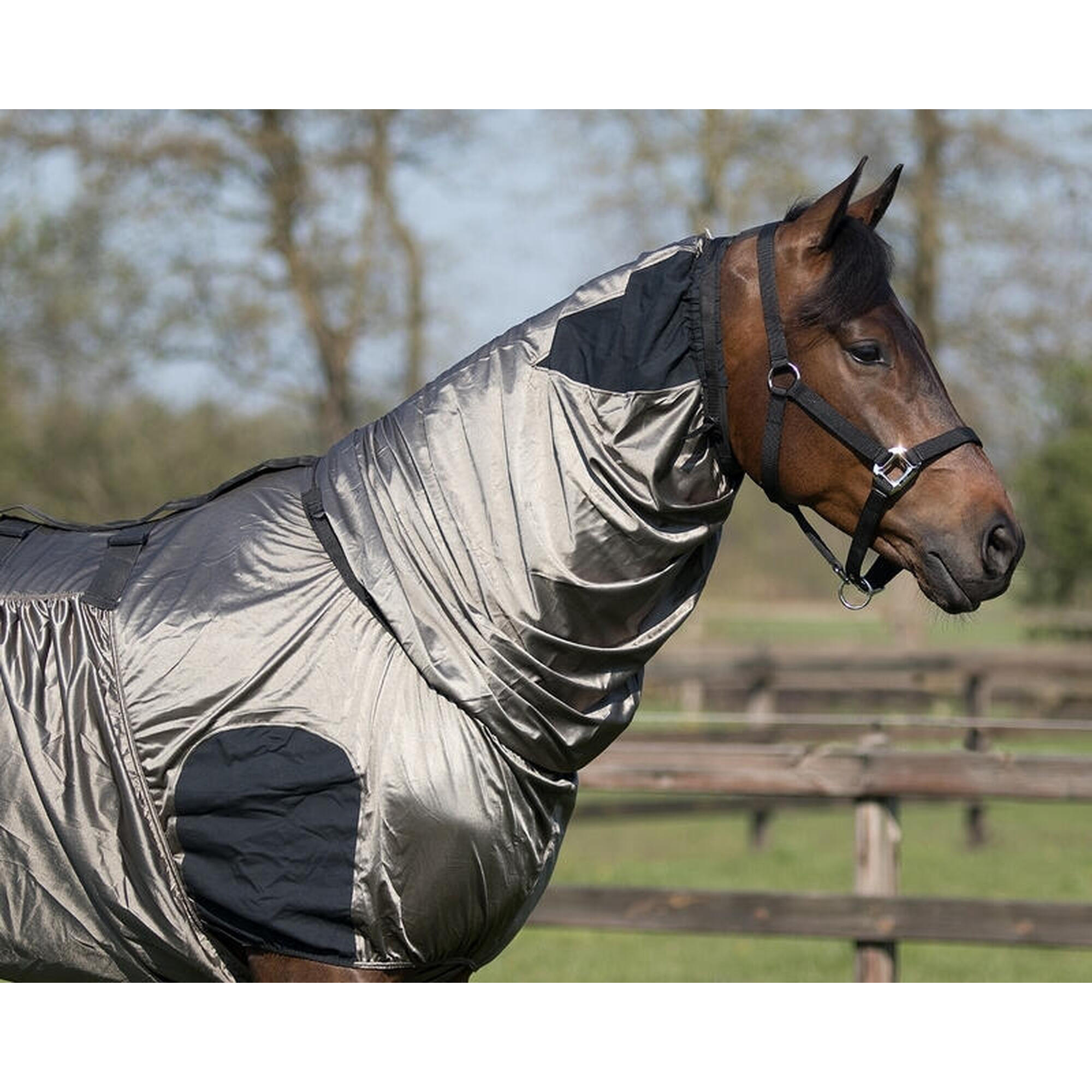 Coperta anti-eczema per cavalli QHP Comfort