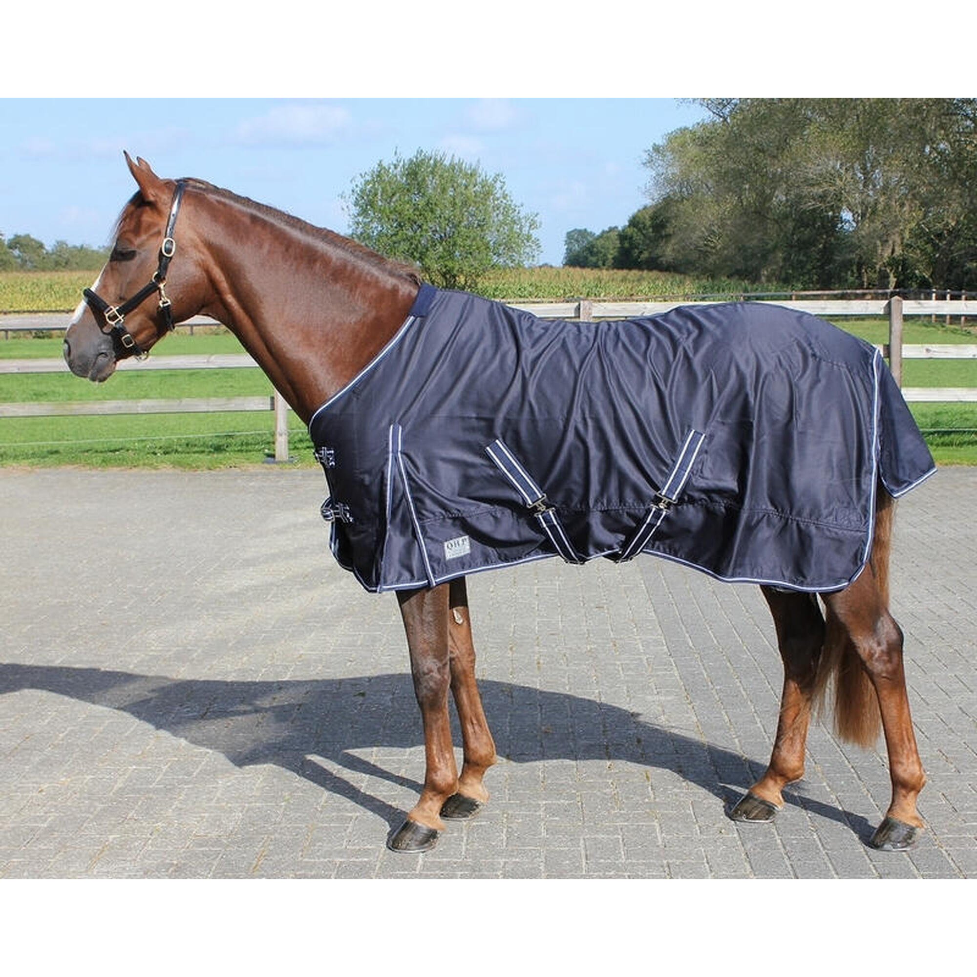 Chemise pour cheval en coton QHP Basic