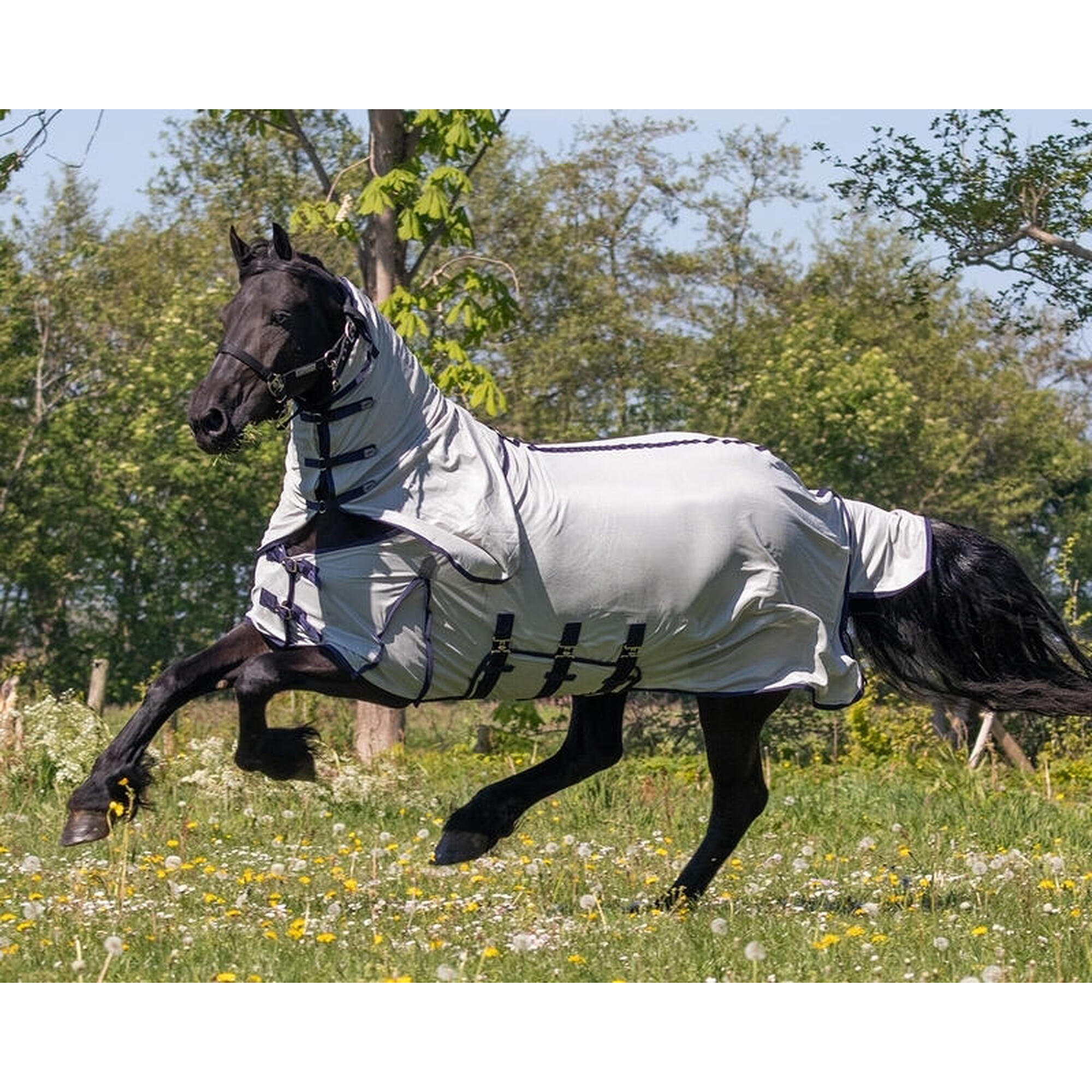 Manta caballo equitación capucha QHP Met Hals Barok, gris