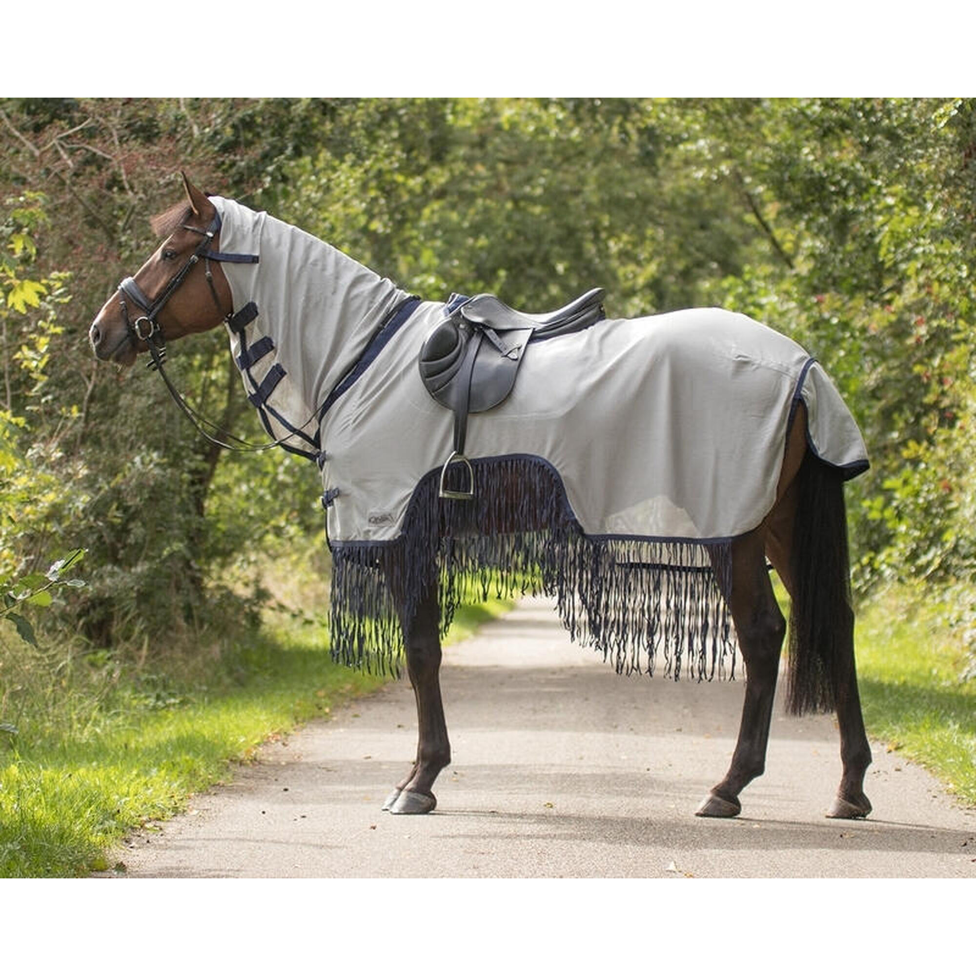 Horse fly rug with bangs QHP