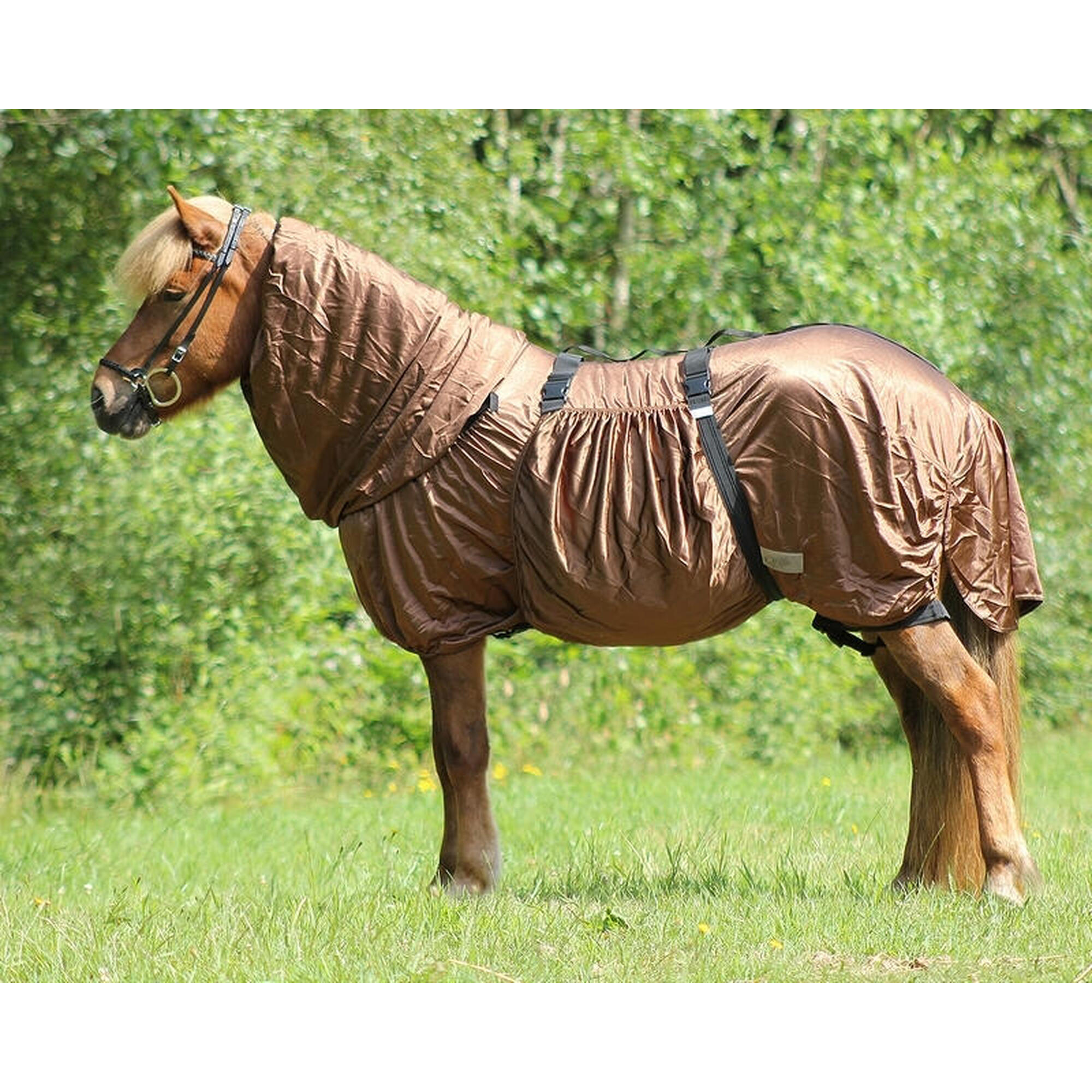 QHP Coperta anti-eczema per cavalli QHP Icelandic