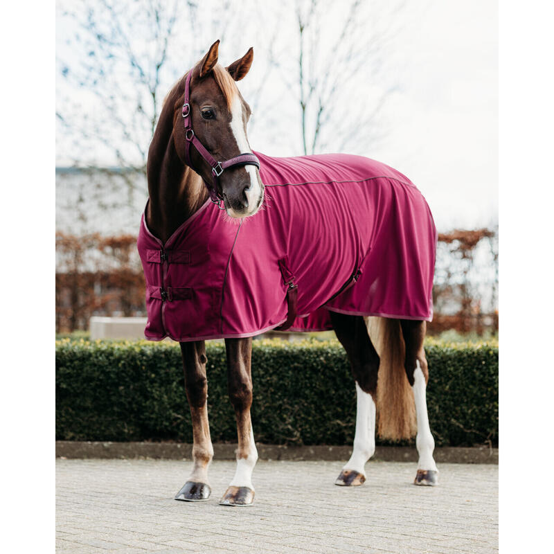 Chemise pour cheval QHP Coolmesh Astana