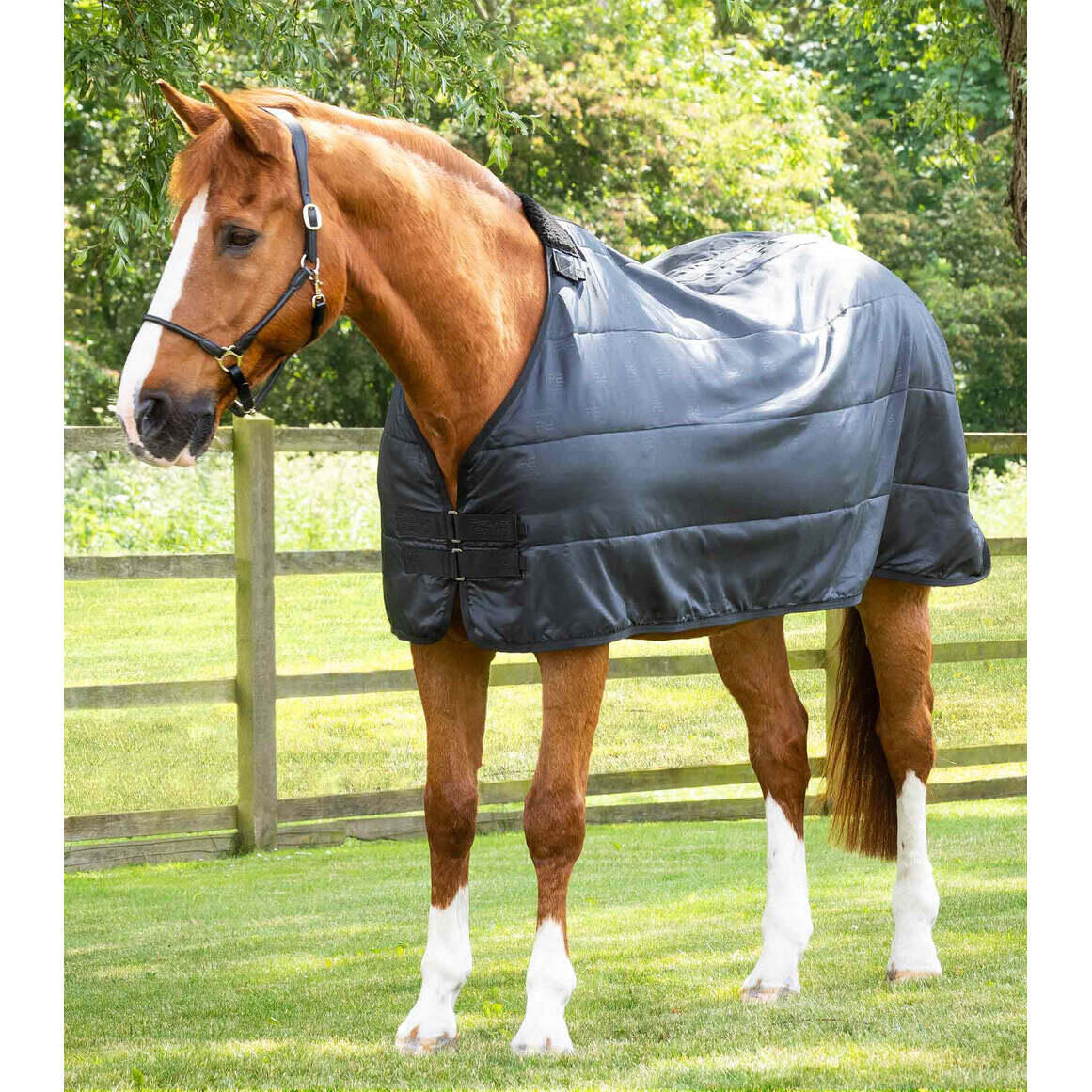 Doublure de couverture pour cheval Premier Equine 100 g 2/7