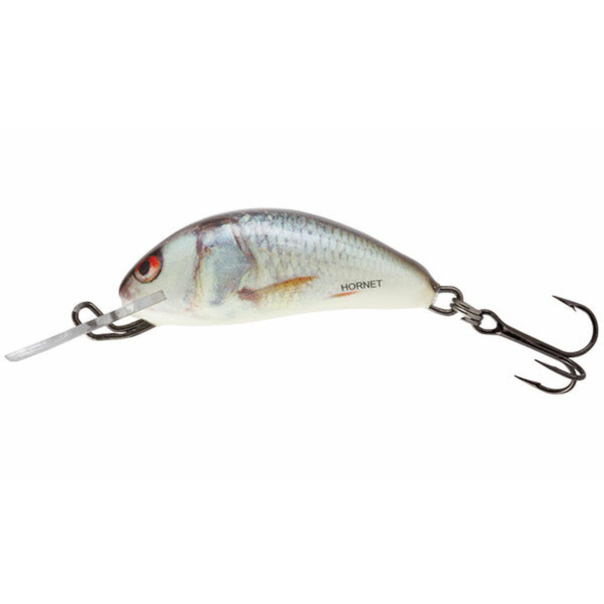 SALMO picture