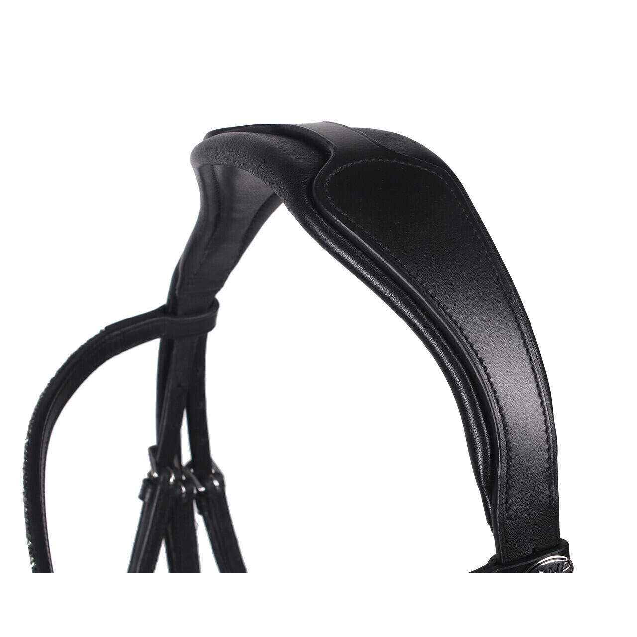 Trensen Reiten QHP Lupine 2/7