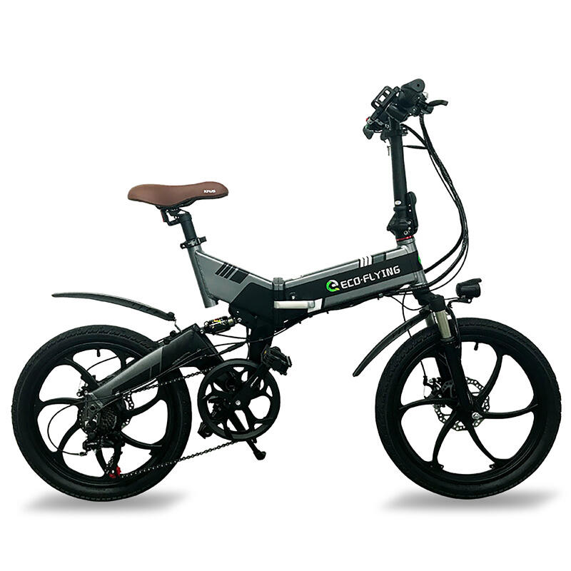 elektrische vouwfiets F501 250W-36V-10Ah (360Wh) - 20" wiel