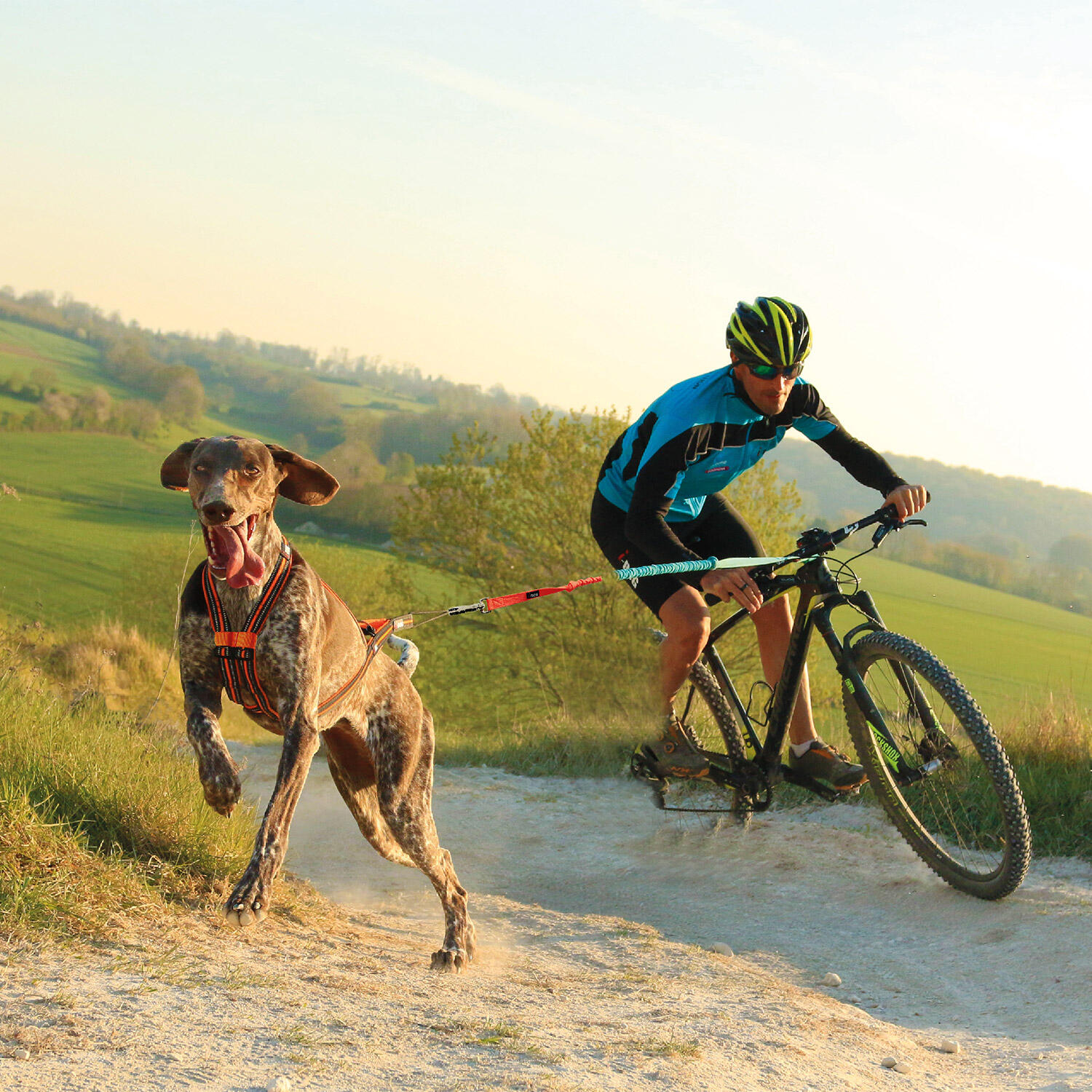 Suredoo Hondentuig Kleine honden met riem, anti-trektuig Reflecterend