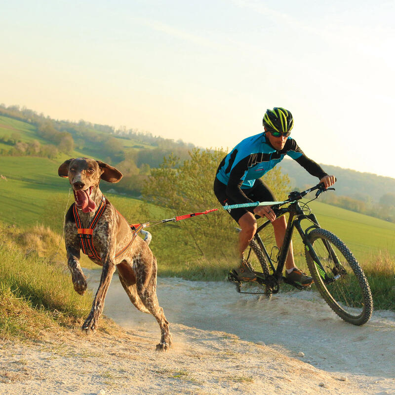 Hundegeschirr I-DOG Canicross X-Back One