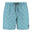 Boardshorts Shiwi Palm