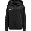 Enfiler Poly Kapuzenpullover Hmlauthentic Multisport Enfant HUMMEL