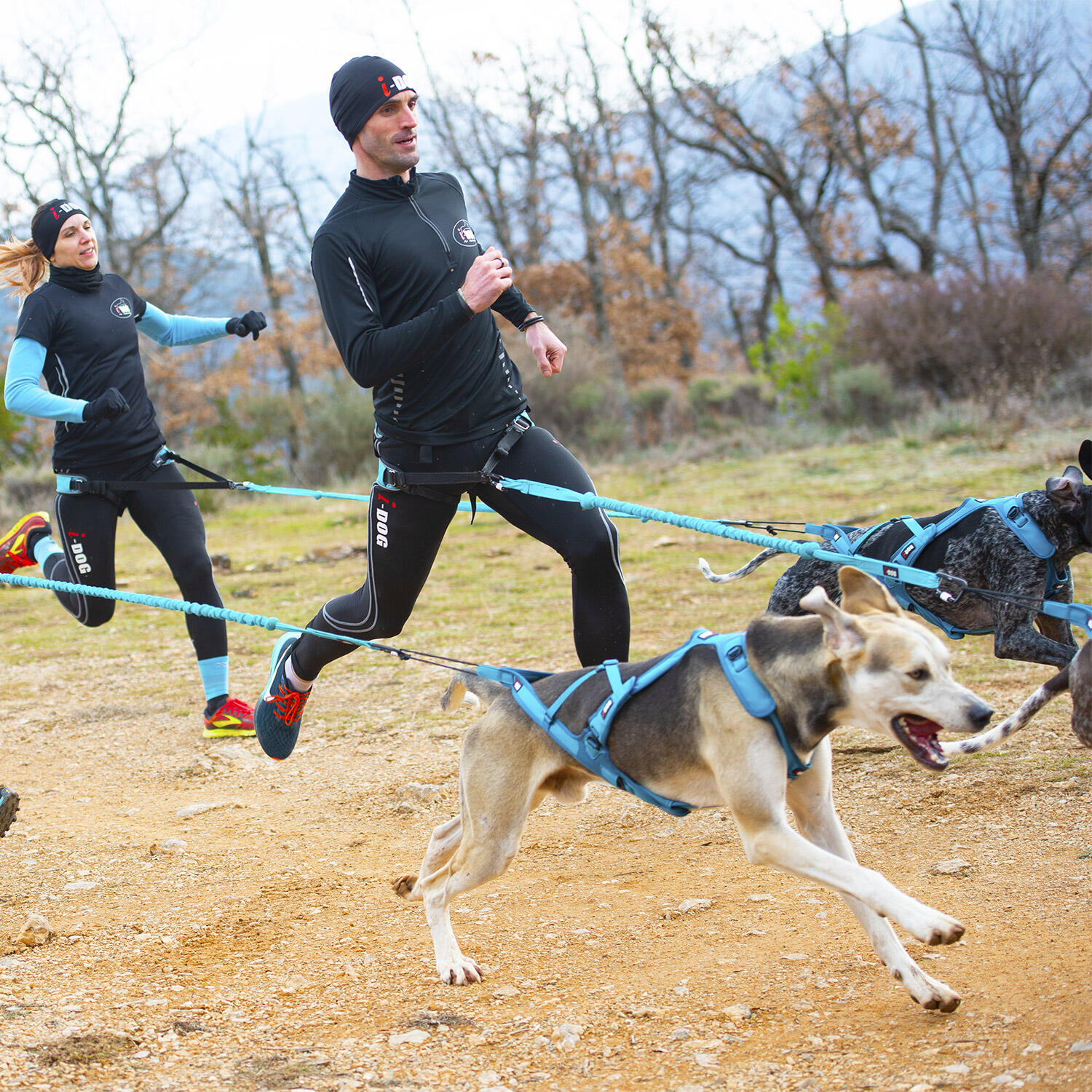 Baudrier für Hunde I-DOG Canicross Canyon ALM 5/7