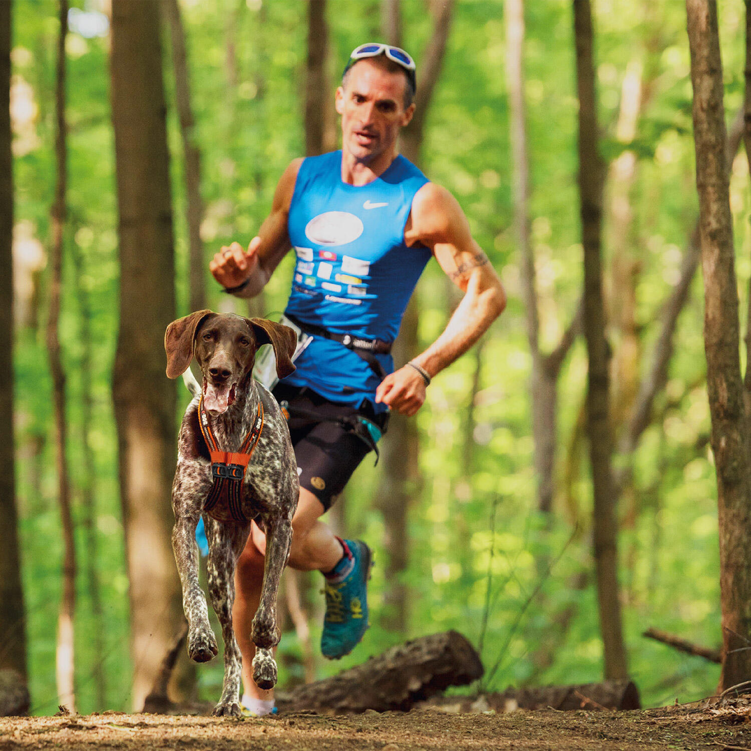 Harnais ONE X-BACK réglable pour courir avec son chien canicross, sport/loisirs 3/7