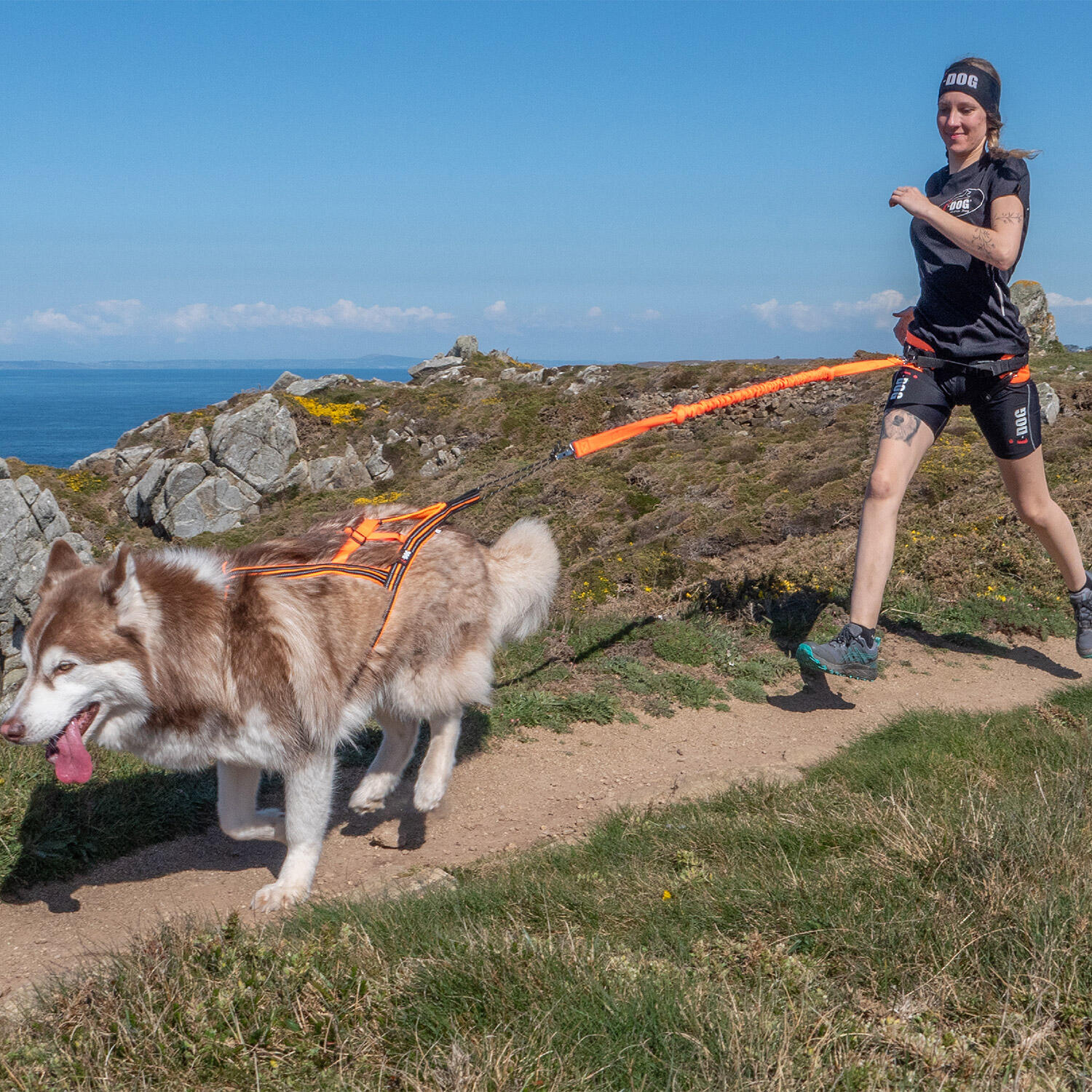 Harnais ONE X-BACK réglable pour courir avec son chien canicross, sport/loisirs 4/7