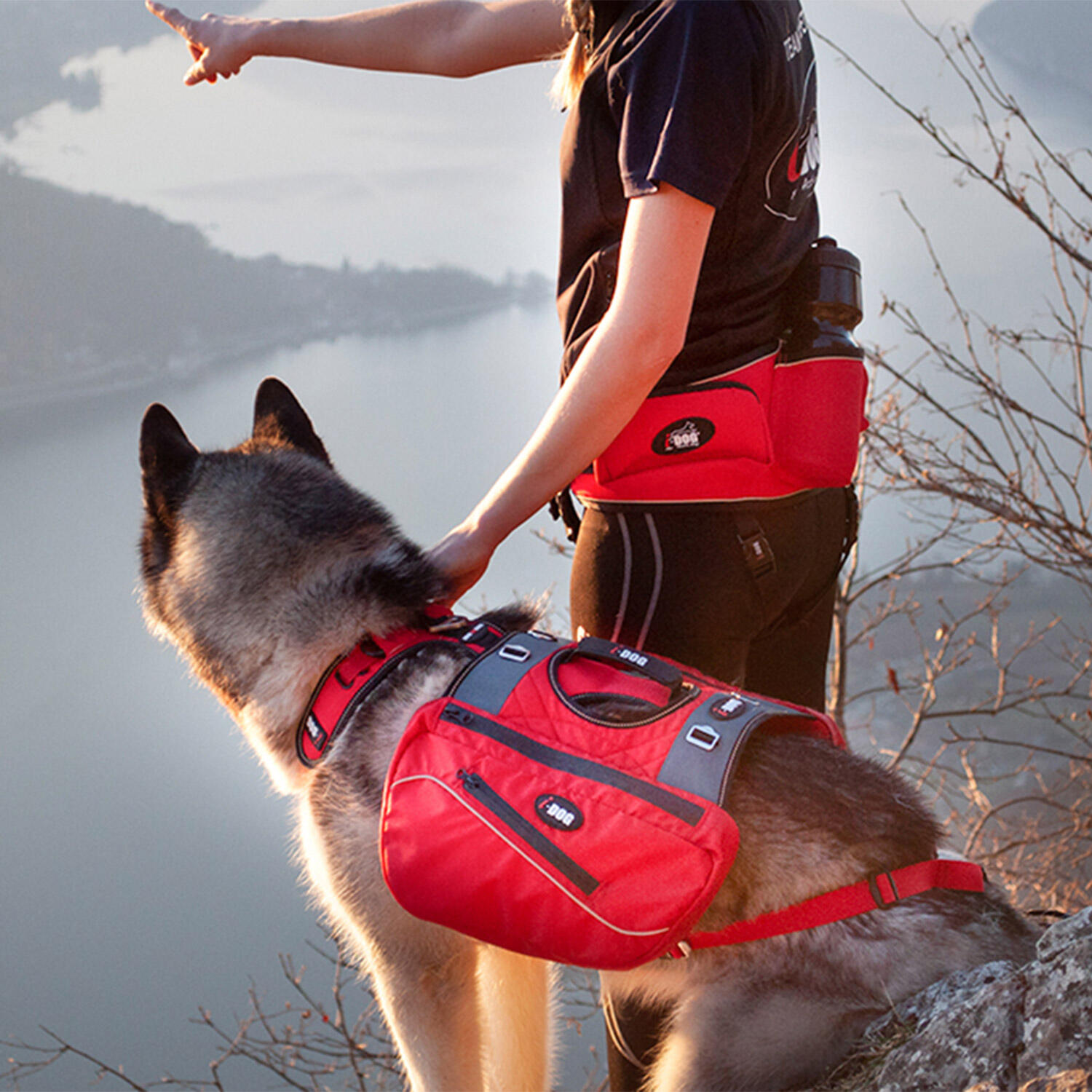 Harnais pour chien canirandonnée, canitrail CONFORT TREK 4/8