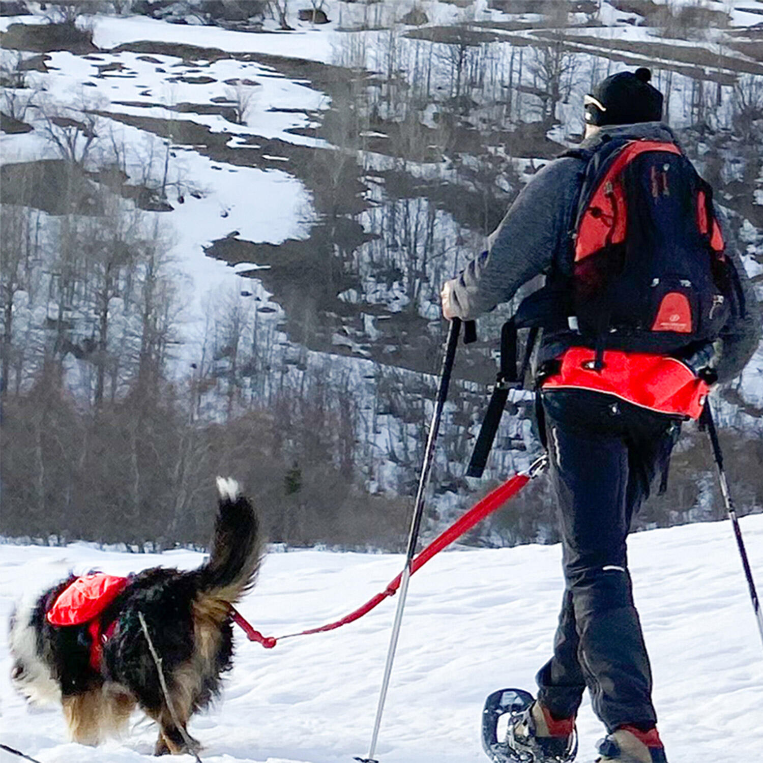 Harness I-DOG Confort Trek 3/7