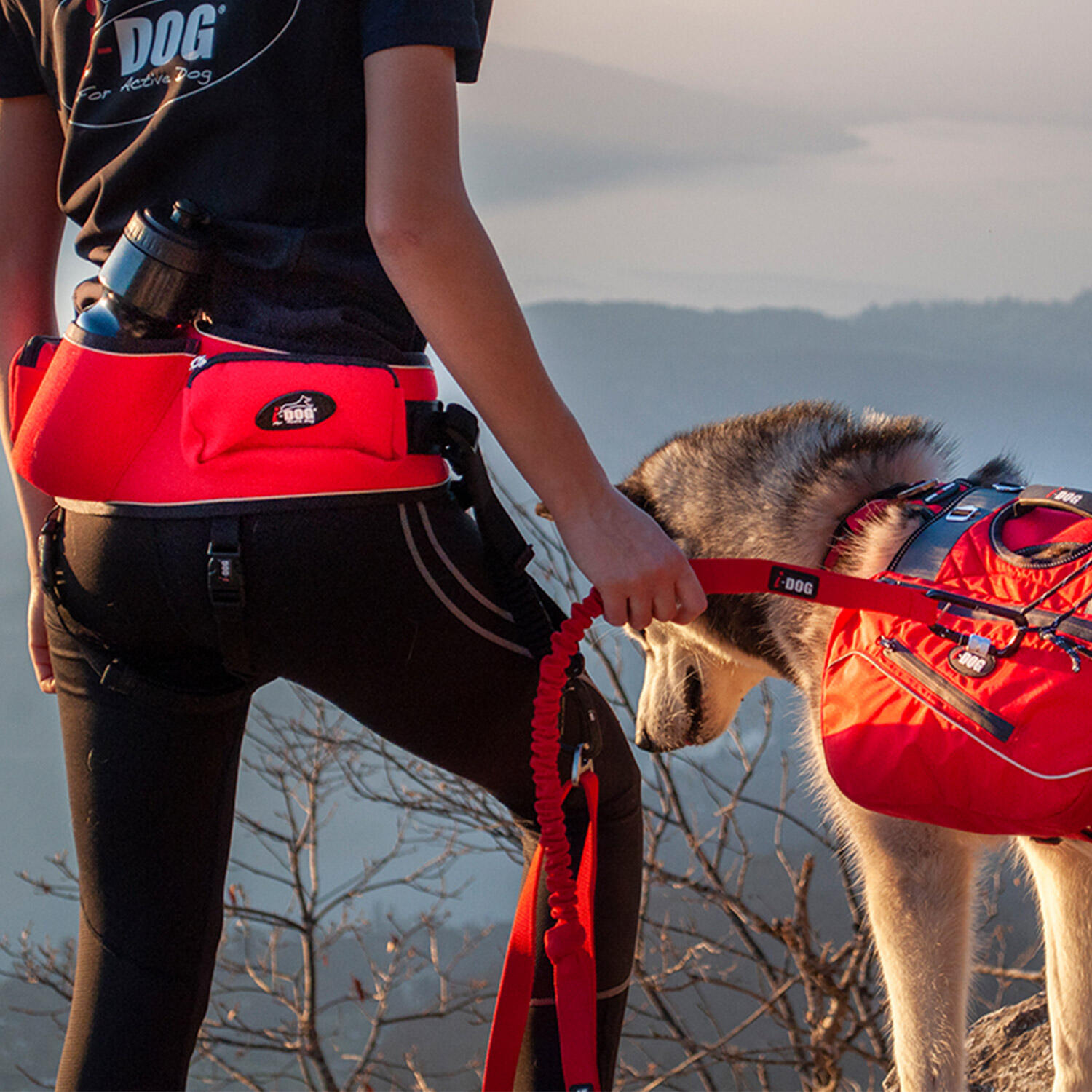 Harness I-DOG Confort Trek 4/7