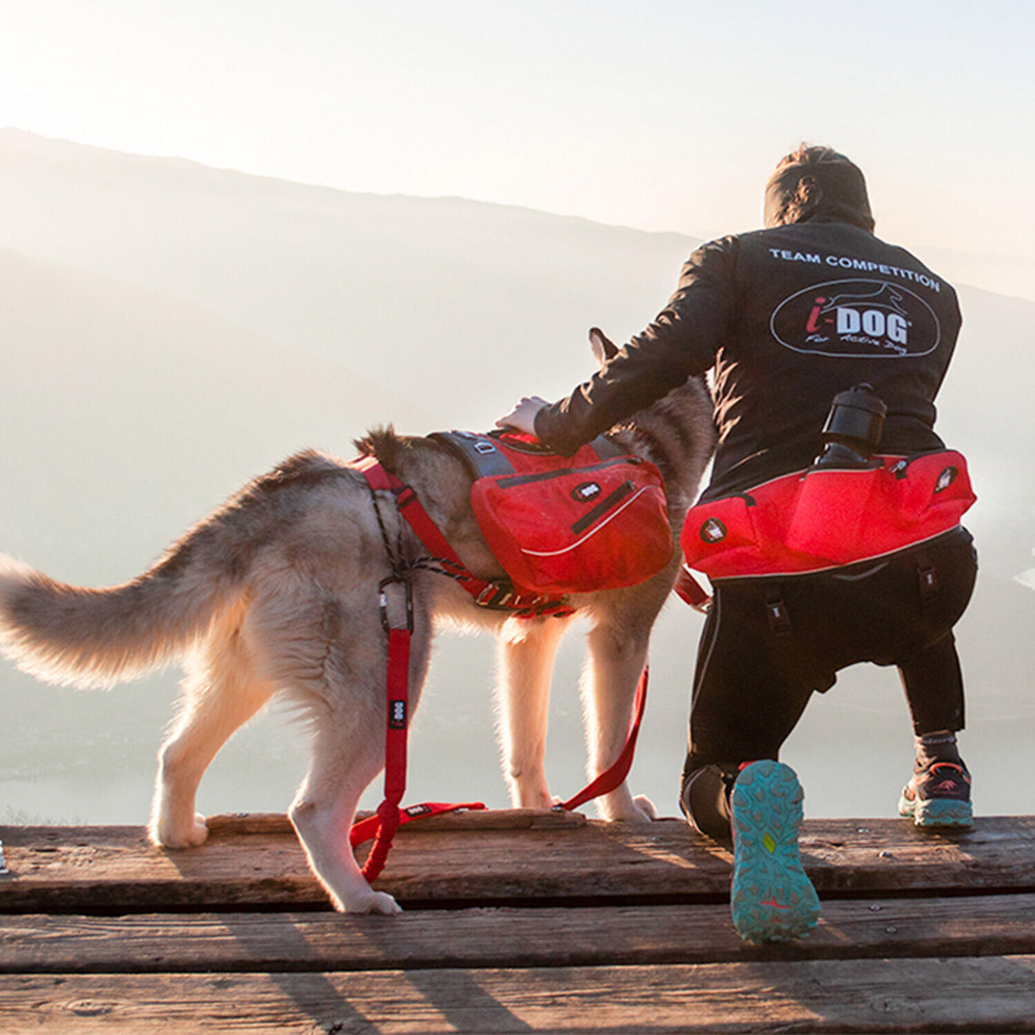 Harness I-DOG Confort Trek 5/7