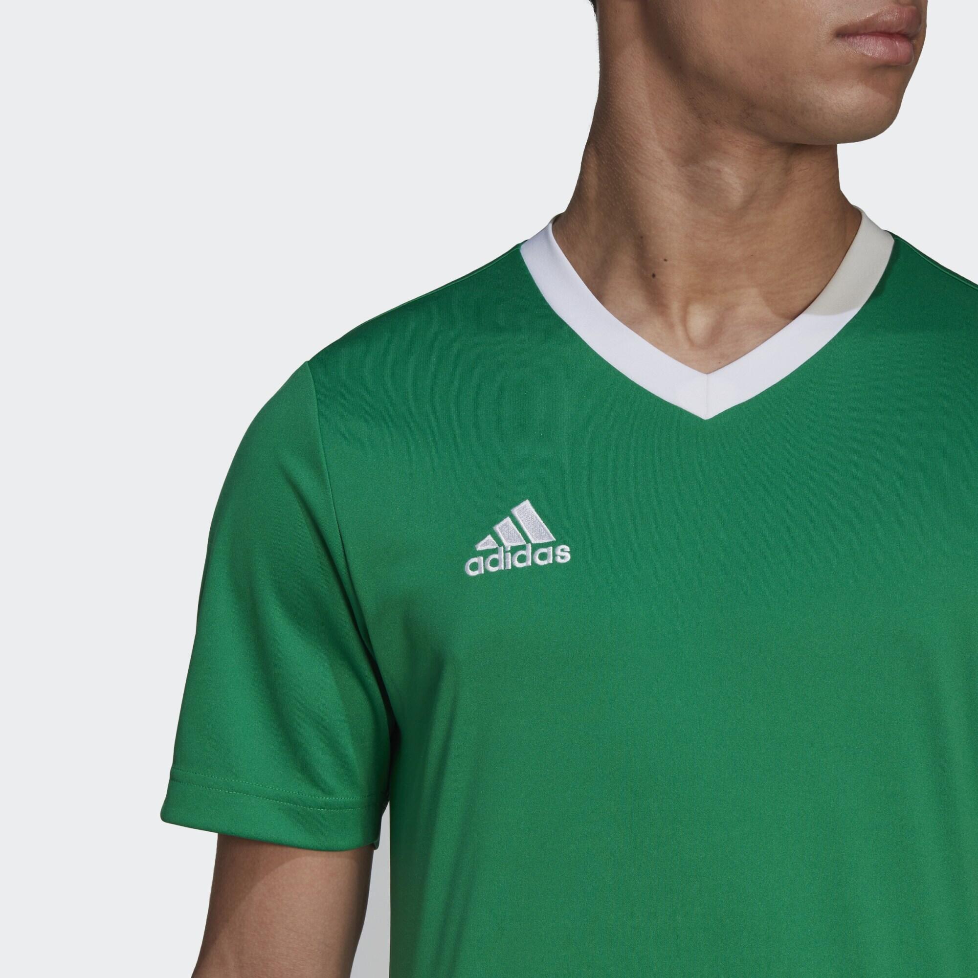 Maillot Entrada 22 5/6
