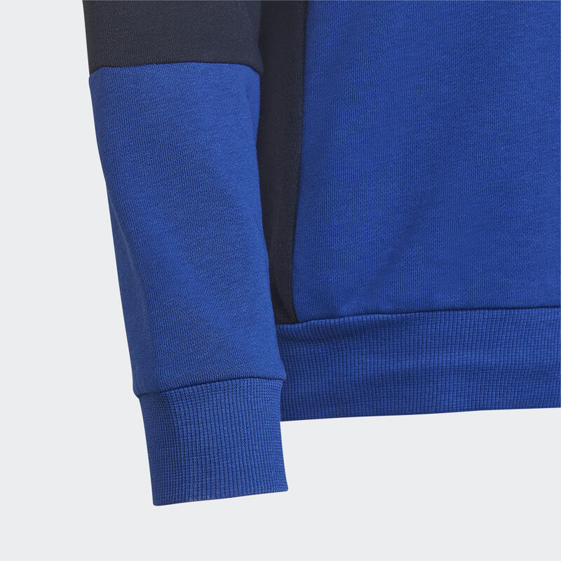 Colorblock Hoodie