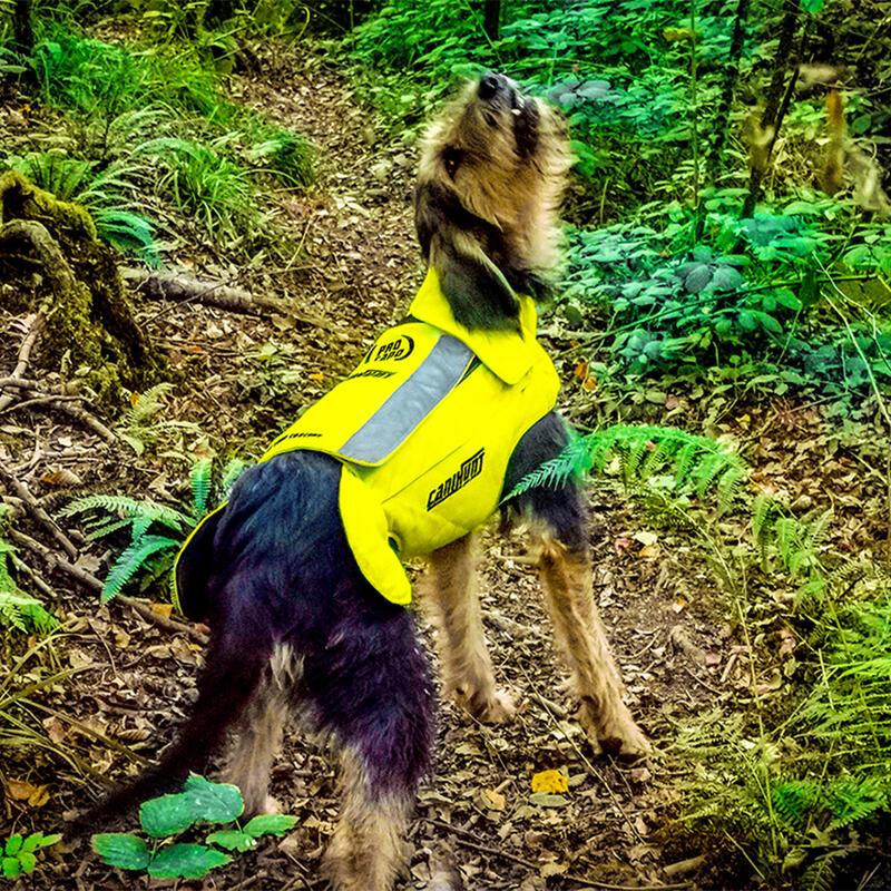 PRO CANO CANIHUNT beschermend vest voor jachthonden