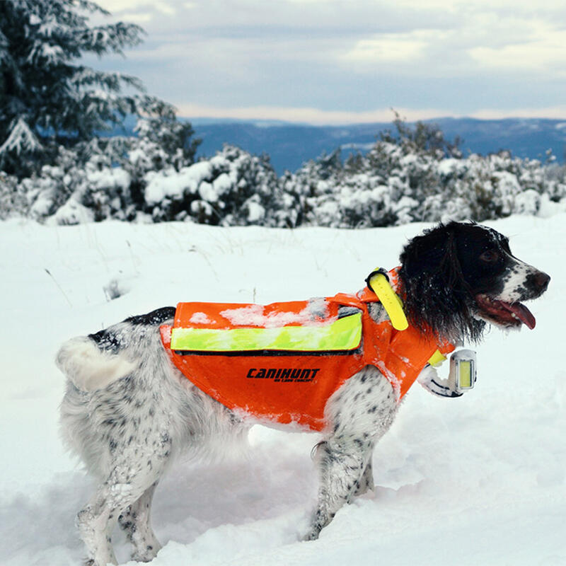 Gilet de signalisation pour chien de chasse FLASH V2 CANIHUNT