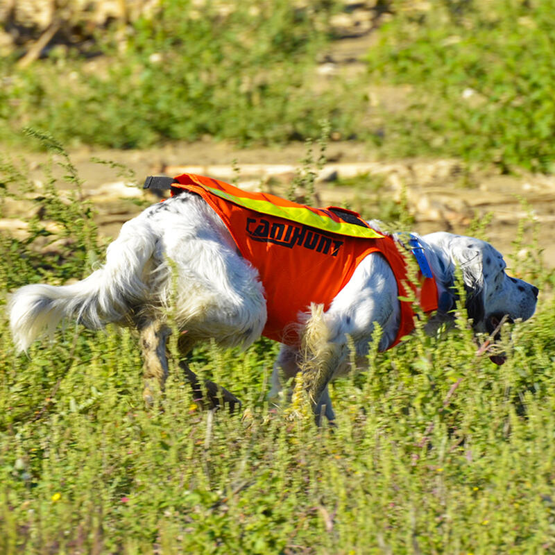 Gilet de signalisation pour chien de chasse FLASH V2 CANIHUNT