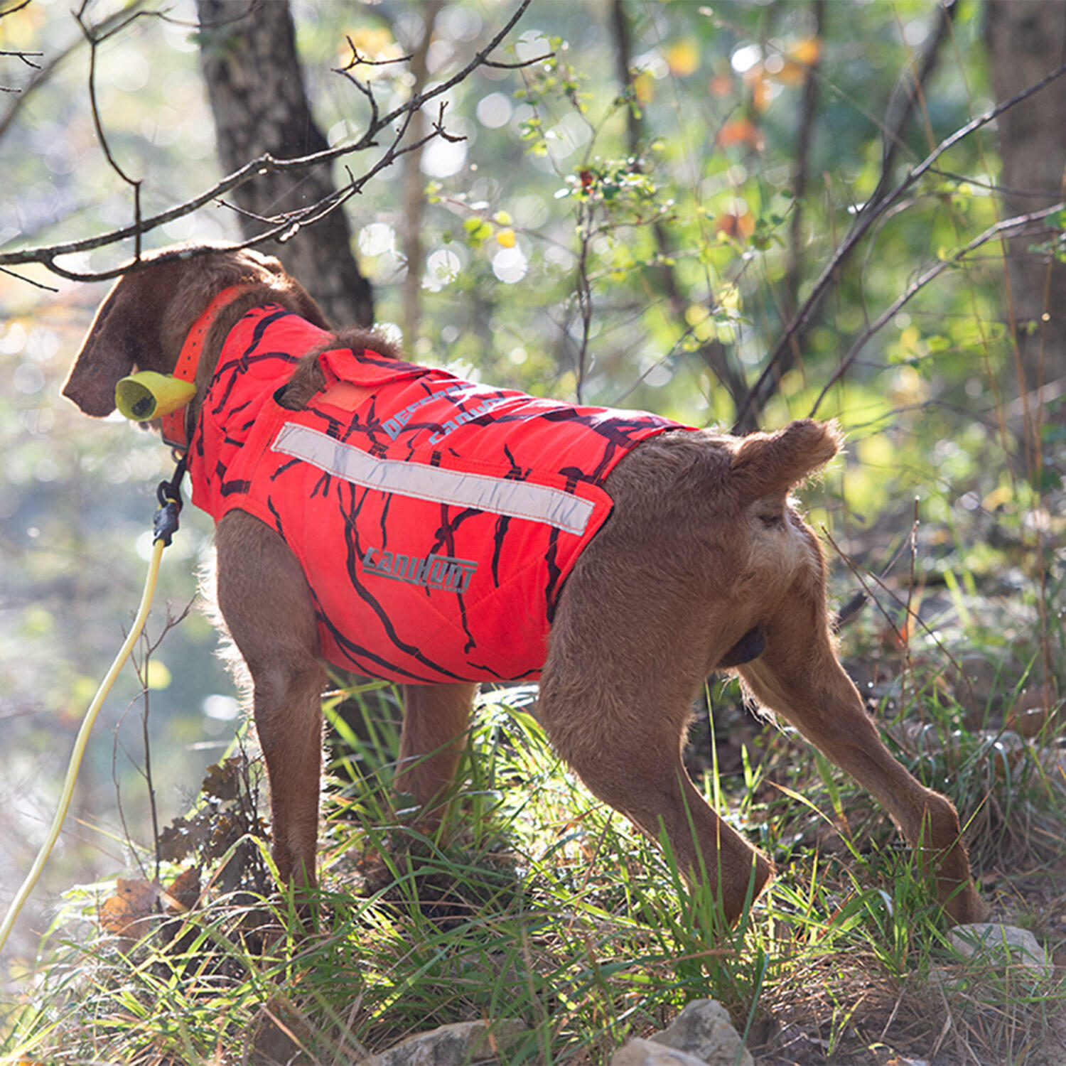 Gilet di protezione per cani da caccia DEFENDER 2.0 CANIHUNT 4/6