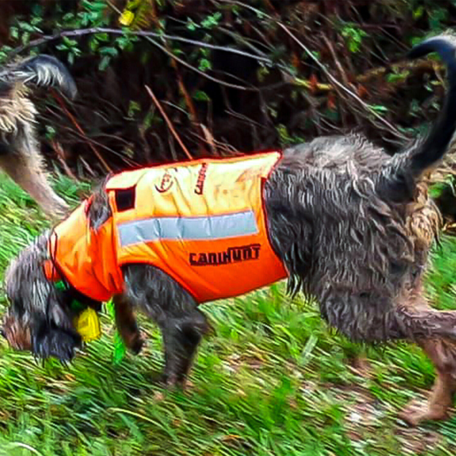 PROTECT ECO CANIHUNT gilet di protezione per cani da caccia 4/7