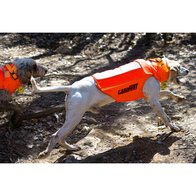 Gilet de protection pour chien de chasse PROTECT PRO L'ORIGINAL CANIHUNT