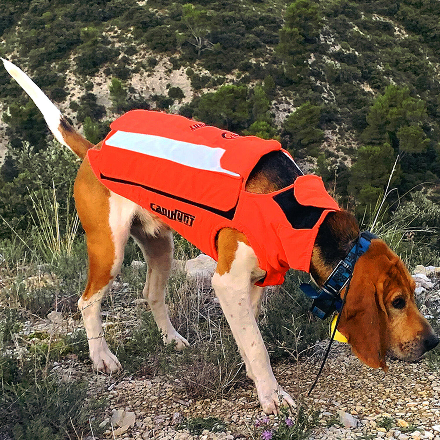 PROTECT LIGHT CANIHUNT Gilet di protezione per cani da caccia 4/7