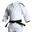 kimono de judo Training Adidas J500
