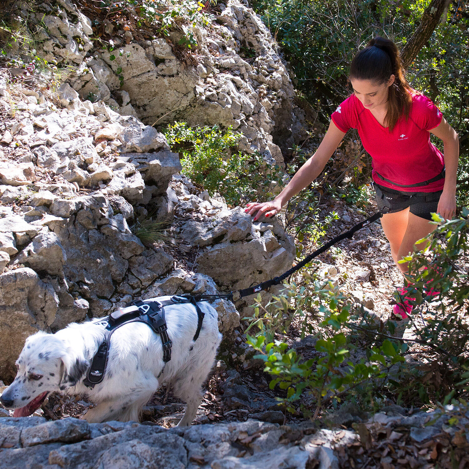 Harnais RAIDLIGHT pour courir avec son chien, canicross,randonnée,trail,balade 7/7