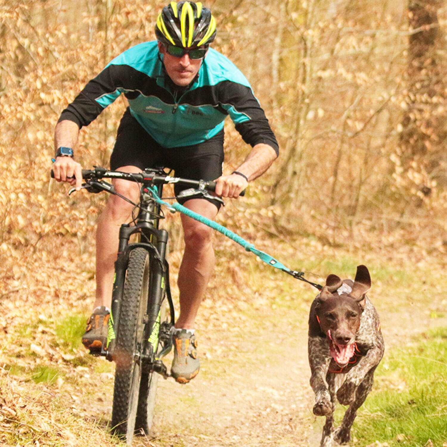 Cani vtt clearance equipement