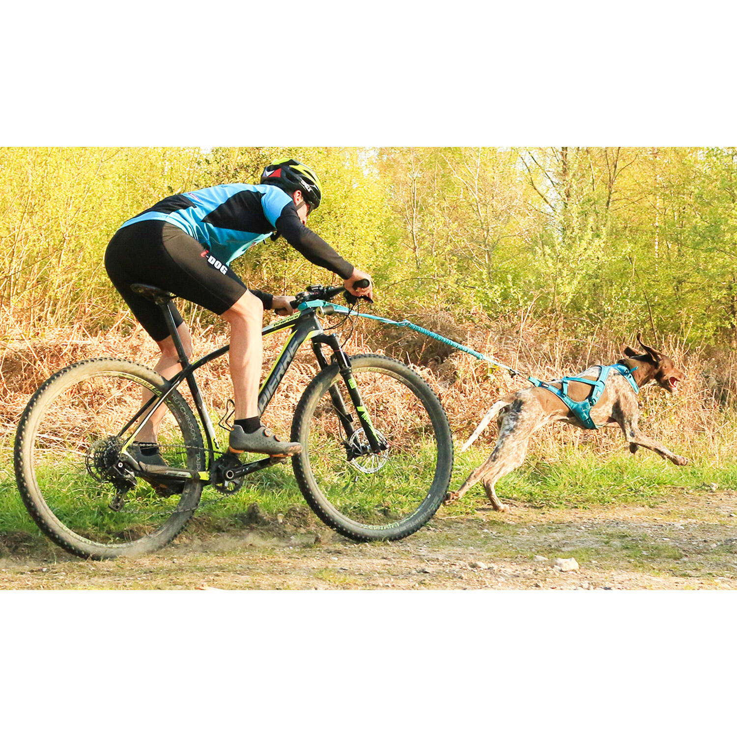 Canicross long lead I-DOG Cani-Bike Opale 4/7