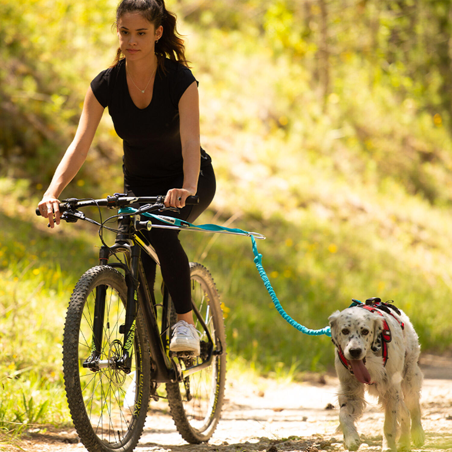 Fahrrad-Klimmzugstange I-DOG VTT Link ALM 4/7