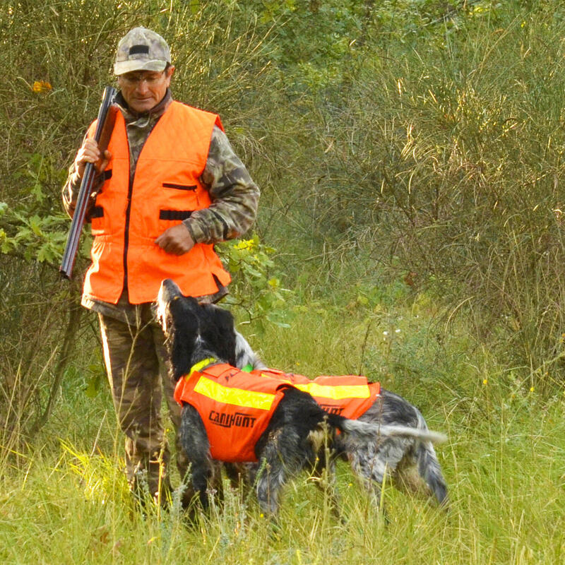 Gilet de signalisation pour chien de chasse FLASH V2 CANIHUNT